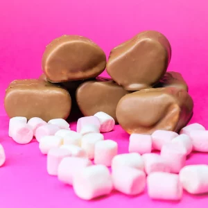 Milk Chocolate <br>Covered Marshmallows